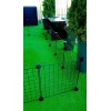 C&C Modular dog kennel 145x75x37 cm