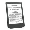 READER INK 6
