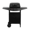 2-burners gas barbecue Teesa BBQ 2000