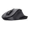 MOUSE USB OPTICAL WRL/FYDA 25708 TRUST