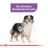 ROYAL CANIN CCN Medium Sterilised  Adult - dry dog food - 12 kg