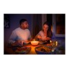 Philips Hue|Hue Go Portable Light|6 W|White and color ambiance|Zigbee