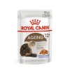 ROYAL CANIN FHN Ageing 12+ in jelly - wet cat food - 12X85g