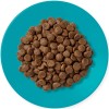 Applaws Cat Dry Adult Ocean Fish with Salmon 1.8kg