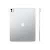 Apple 13-inch iPad Pro M5 Wi-Fi + Cellular 256GB with standard glass - Silver | Apple