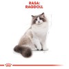 Royal Canin FBN Ragdoll Adult dry cat food 2 kg