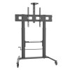 TECHLY TV Floor Stand with Adjustable