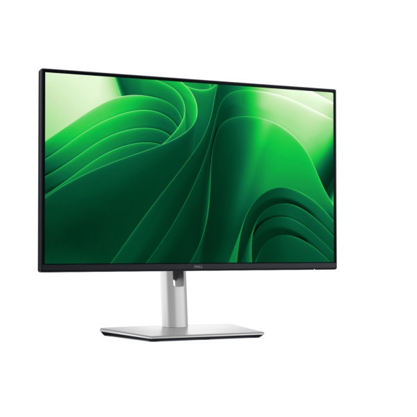 Dell LCD P2425DE, 24
