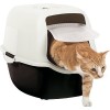 ROTHO Bailey Cat Hooded litter box