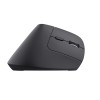 MOUSE USB OPTICAL WRL BAYO+/ERGONOMIC BLK 25146 TRUST
