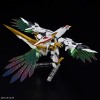 HG AMPLIFIED IMGN RYUOMARU