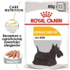 ROYAL CANIN Dermacomfort - Wet dog food - 12 x 85 g