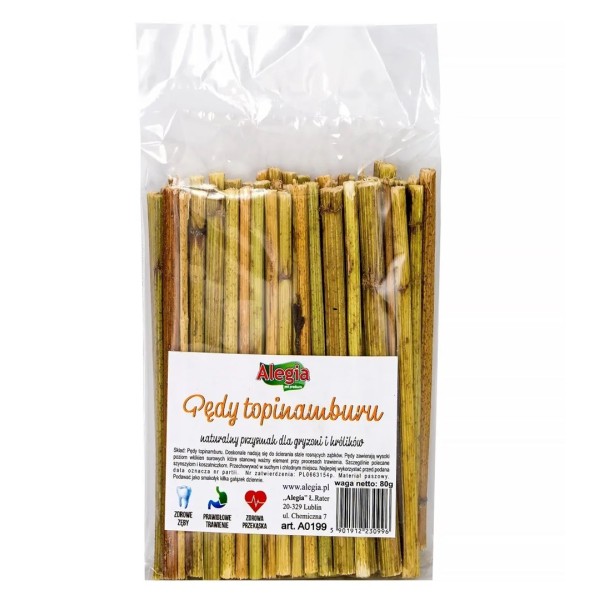 ALEGIA Jerusalem artichoke shoots - treat ...