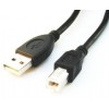 Cablexpert | CCP-USB2-AMBM-6 | USB-A to USB-B USB A | USB B