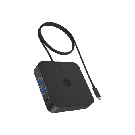 ICY BOX IB-DK4090-C 12-in-1 USB Type-C