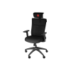 Genesis Ergonomic Chair Astat 200 Base material Nylon; Castors material: Nylon with CareGlide coating | Black