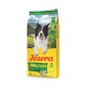 Josera Adult Salmon & Potato 12,5kg