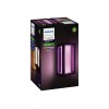 Philips Hue WCA Impress Outdoor Wall Lantern | 8 W | 2000-6500 Hue White Colour Ambiance