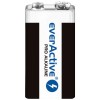 Alkaline battery  6LR61 9V (R9*) everActive Pro