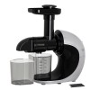 ADLER AD 4131 slow-running juicer