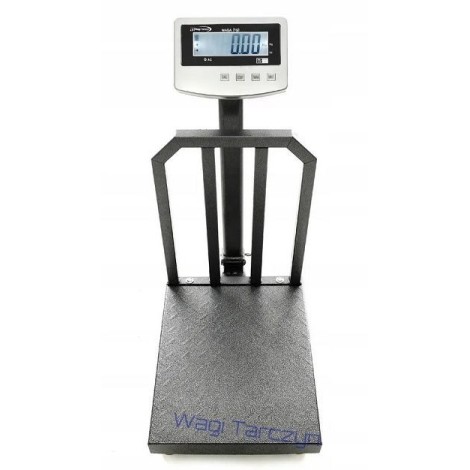 PLATFORM SCALE  WT-1040 300 KG