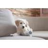 KERBL Puppy toy - Dog toy - 16cm