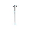 Kijki narciarskie Black Diamond Expedition 155cm