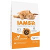 IAMS Advanced Nutrition Adult - dry cat food - 10 kg