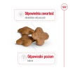 Royal Canin Mini Adult 8+ 8 kg Senior Poultry, Rice, Vegetable