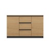 Topeshop 2D3S ANT/ART BA KPL chest of drawers