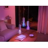 Philips Hue WCA Lightguide Triangle | E27 | 6.8 W | White and colour light
