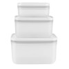 Set of 3 Plastic Containers Zwilling Fresh & Save  36804-003-0