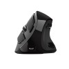 MOUSE USB OPTICAL ERGONOMIC/VOXX 23731 TRUST