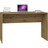 Topeshop PLUS 2X2 ARTISAN computer desk Oak colour