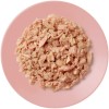 Applaws Cat Tuna and Salmon in jelly 70g