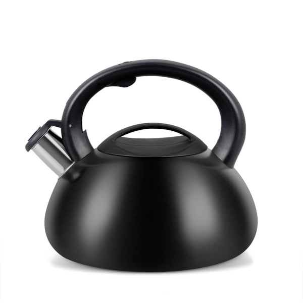 Kettle PROMIS TMC01BS AUGUSTO MATTE 3 ...