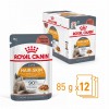 ROYAL CANIN Intense Beauty Wet cat food Chunks in sauce 12x85 g