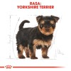 ROYAL CANIN Yorkshire Terrier Puppy - dry dog food - 7,5 kg