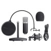 MICROPHONE GXT 252 EMITA/21753 TRUST
