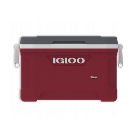 Lodówka Igloo Latitude 52 49l, czerwona