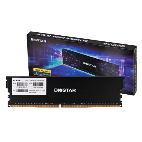 Biostar DDR4 Storming V memory module 8 GB 1 x 8 GB 3200 MHz (DX32NU4H08)