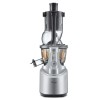 Sage the Big Squeeze Slow juicer 2400 W Silver