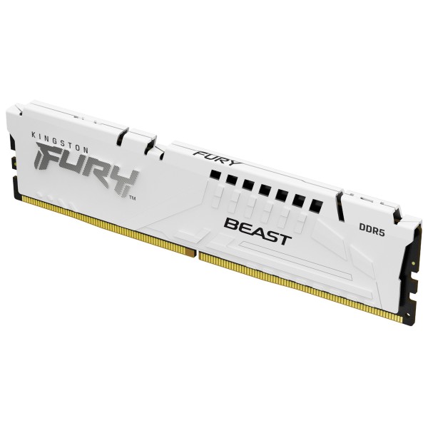 Kingston Technology FURY Beast 16GB 6400MT/s ...