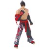 GAME DIMENSIONS TEKKEN - JIN KAZAMA