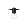 Philips Hue Festavia globe string 7m 10bulb ext|Philips Hue