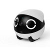 Enabot ROLA Mini Companion Robot