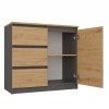 Topeshop COSTA ANT/ART BA KPL chest of drawers