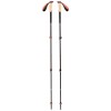 Kije trekkingowe Black Diamond Trail Cork Trekking Poles Fig