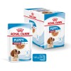 ROYAL CANIN SHN Medium Puppy in sauce  - wet puppy food - 10x140g