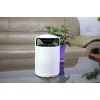 MOSQUITO TRAP PICTORIS/COP001121 STYLIES